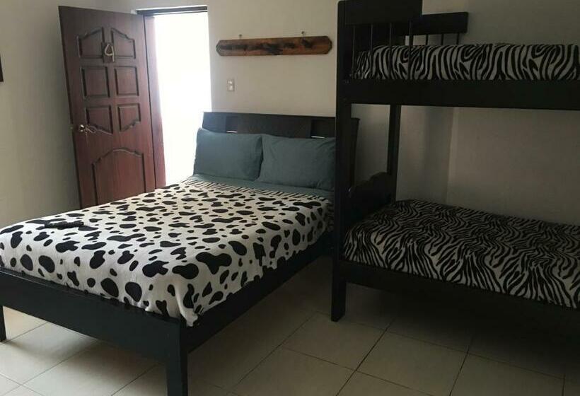 اتاق استاندارد سه نفره, The Backpacker Hostal