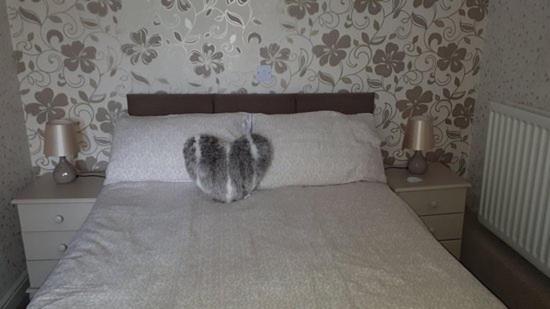 Номер Стандарт, Kirkcroft Guest House