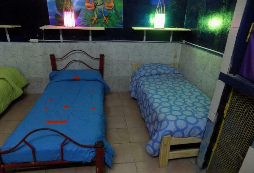 تختخواب در اتاق مشترک, Hospedaje La Rana