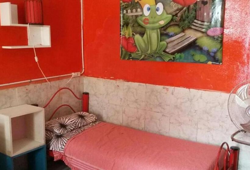 تختخواب در اتاق مشترک, Hospedaje La Rana