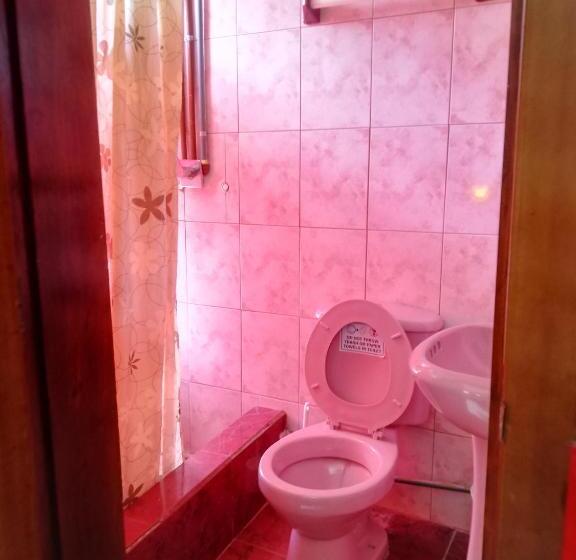 اتاق استاندارد, Flying Donkey