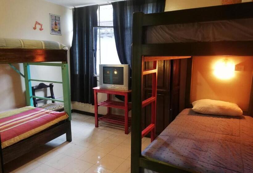 تختخواب در اتاق مشترک, Flying Donkey