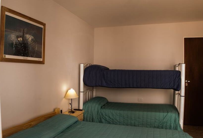 اتاق استاندارد چهارنفره با سرویس بهداشتی مشترک, Loica Hostel