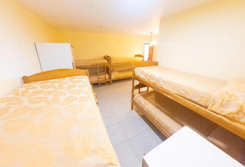 共用房间的床, Matices Hostel Terminal