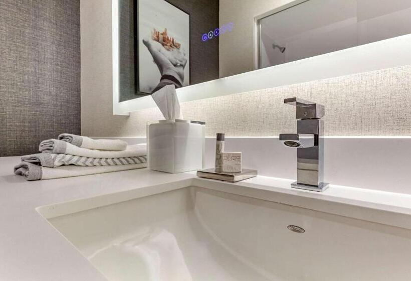 اتاق استاندارد با تخت بزرگ برای معلولان, Cambria Hotel Spokane Airport