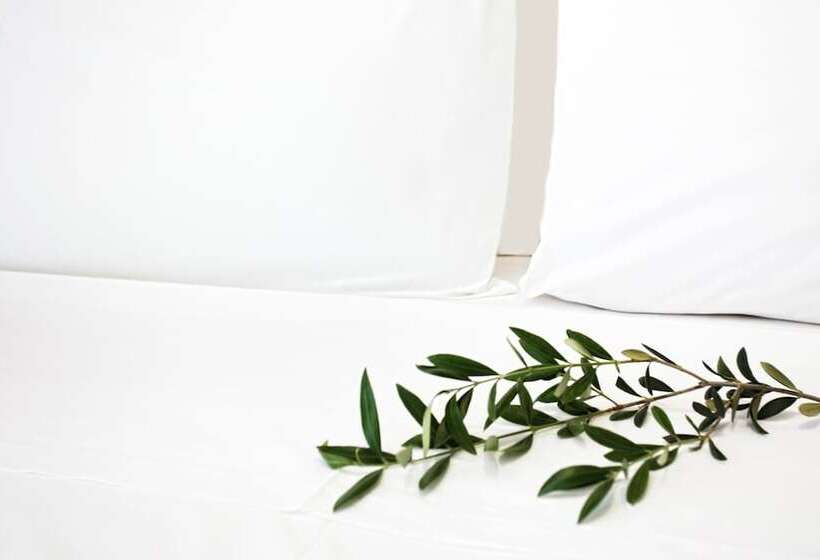 침실 1개 컴포트 아파트, Atlas Hotel Skiathos