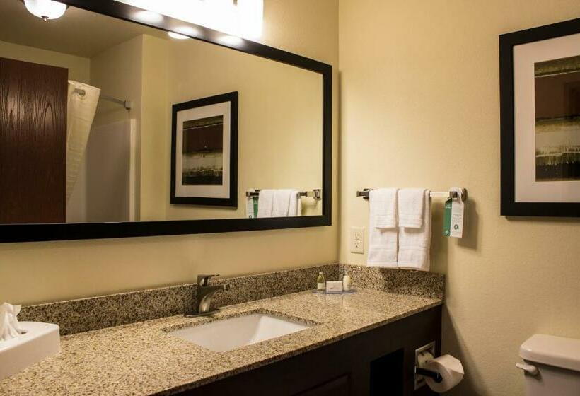 Люкс Deluxe Кровать Кинг, Cobblestone Hotel & Suites   Chippewa Falls