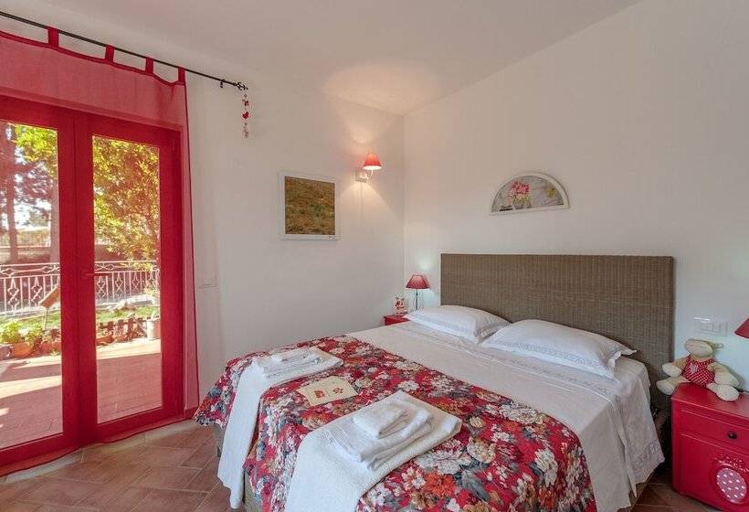 スタンダードルーム, Le Tartarughe Rooms