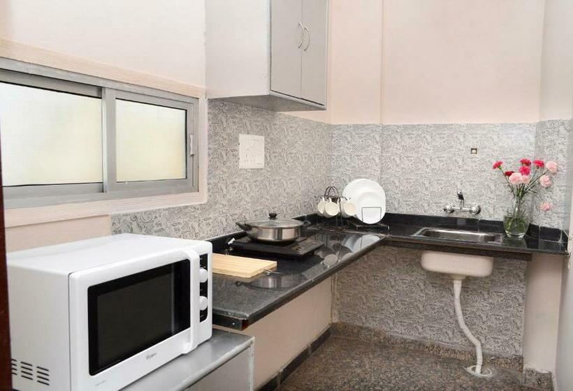 스탠다드 스튜디오, Perch Arbor Suites