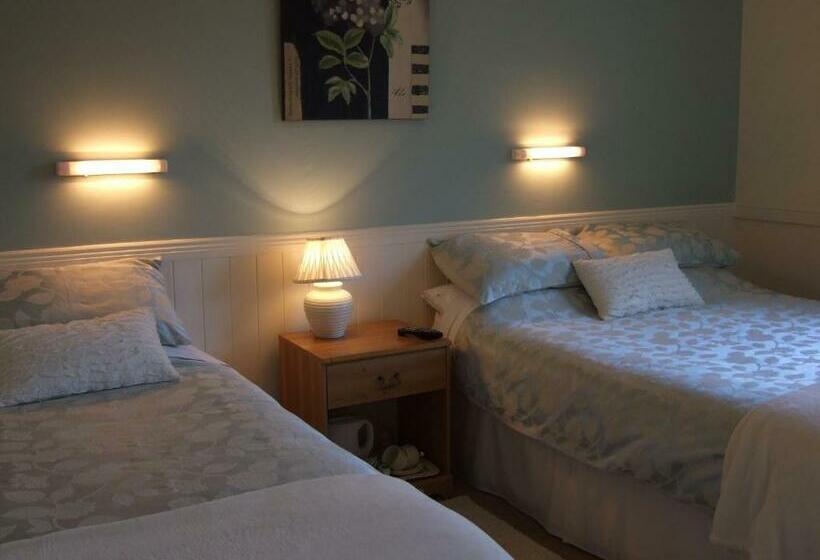 스탠다드 룸, Shannonside House N37hf67