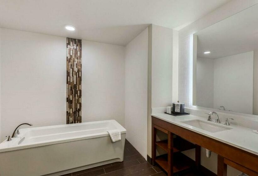 스위트 킹사이즈 침대, Comfort Suites Loveland