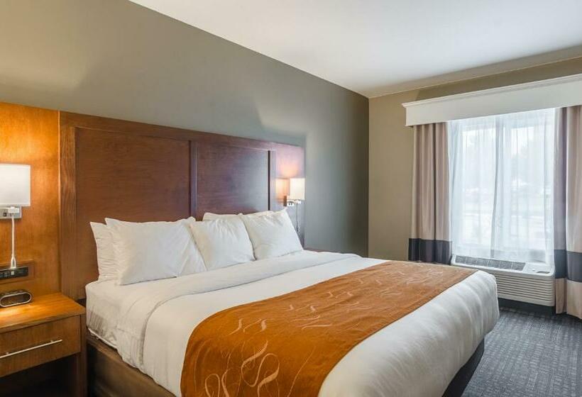 스위트 킹사이즈 침대, Comfort Suites Loveland