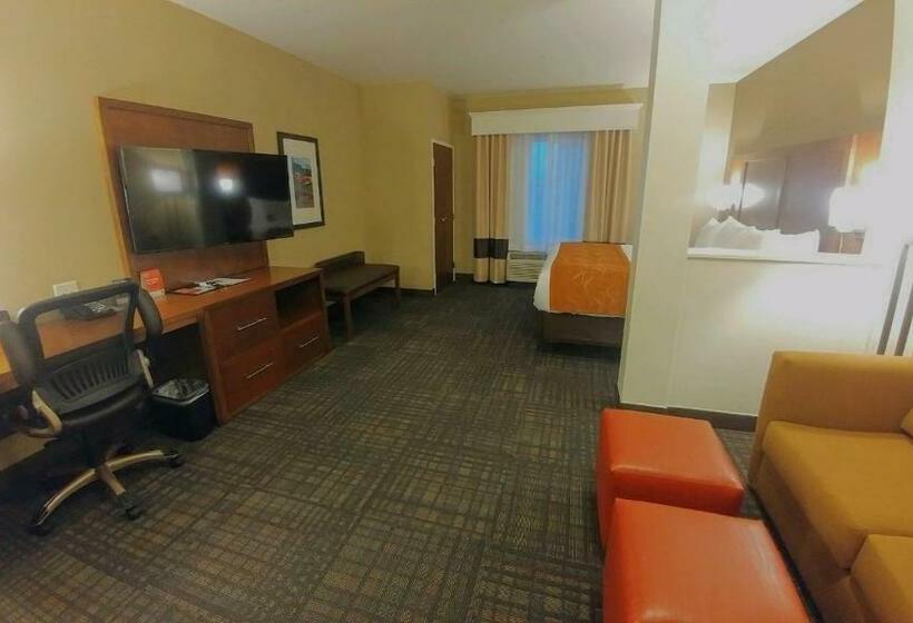 스위트 킹사이즈 침대, Comfort Suites Loveland