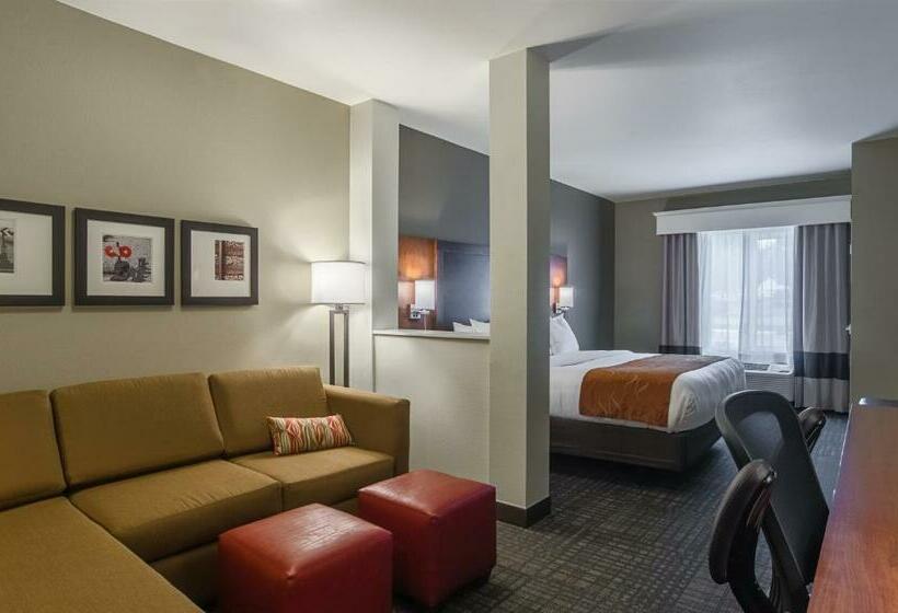 스위트 킹사이즈 침대, Comfort Suites Loveland
