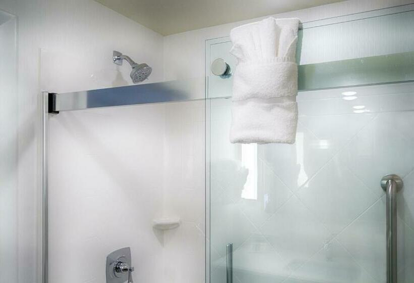 Номер Стандарт, Hilton Garden Inn Salina