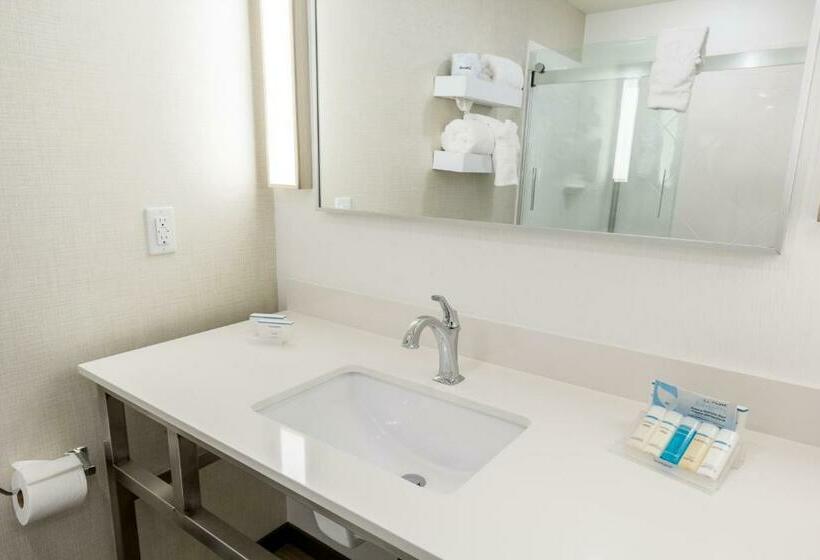 Номер Стандарт Кровать Кинг Адаптированный для Инвалидов, Hilton Garden Inn Salina