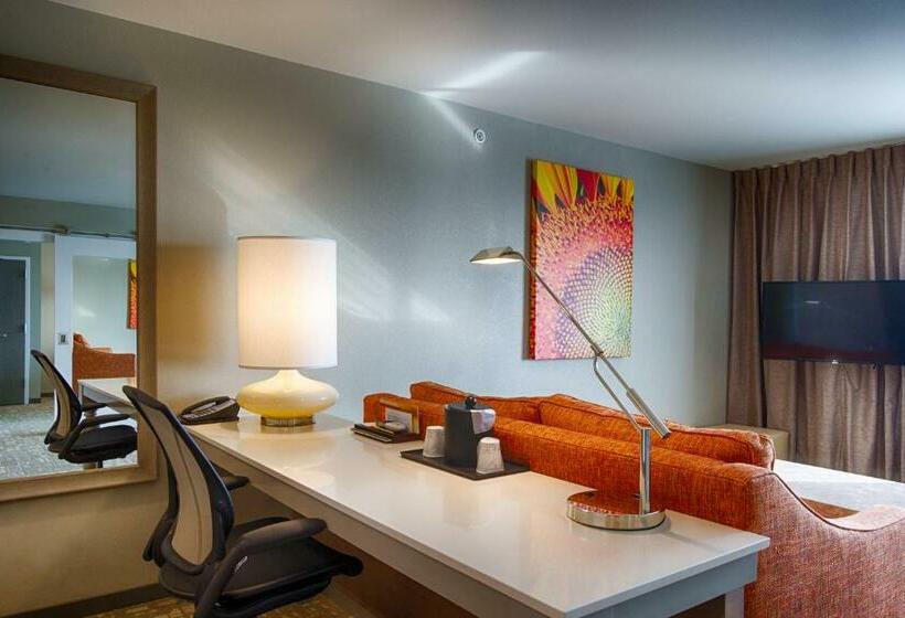 Номер Deluxe Кровать Кинг, Hilton Garden Inn Salina