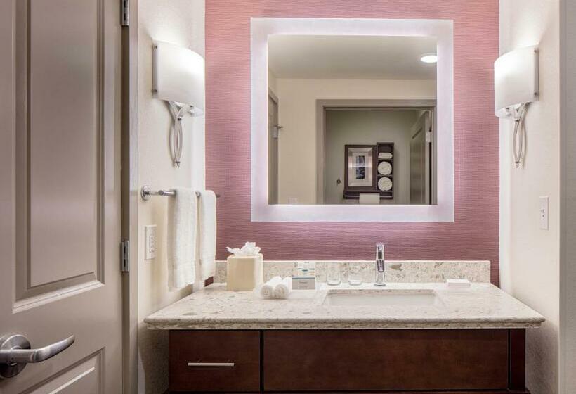 带大床的套房, Homewood Suites By Hilton New Orleans French Quarter