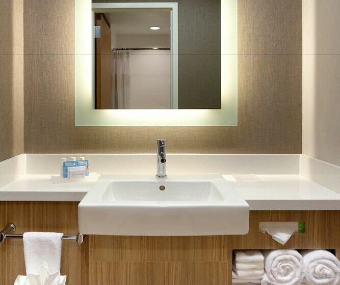 Люкс, Springhill Suites By Marriott Moab
