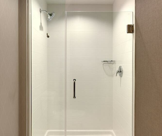Люкс, Springhill Suites By Marriott Moab