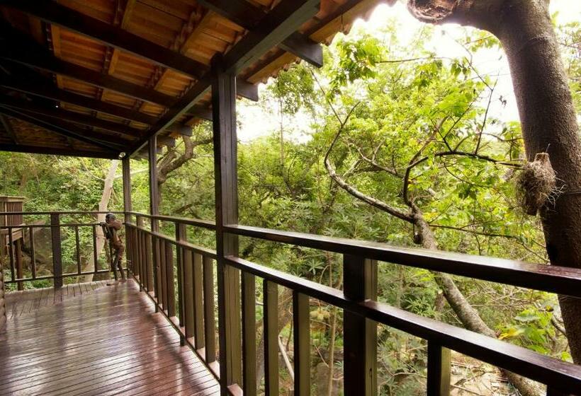 스탠다드 룸, Beetleloop Guest House