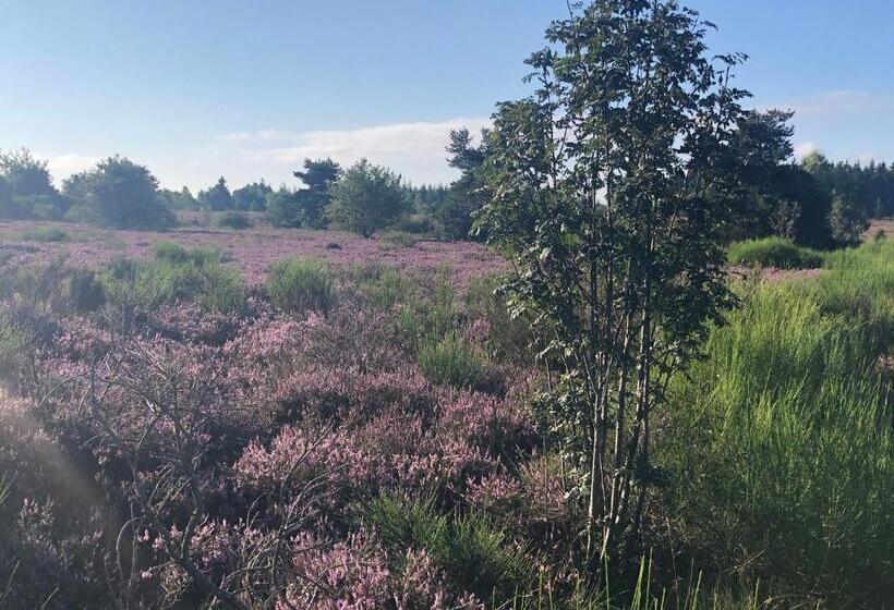 Номер Стандарт с Балконом, Manoir D Avray Beaujolais
