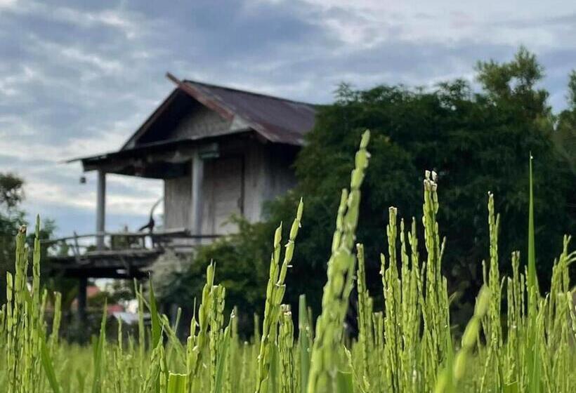 Номер Стандарт с Балконом, Kratomrimtung Homestay กระท่อมริมทุ่งโฮมสเตย์