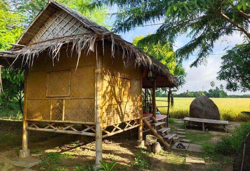 Одноместный Номер Basic, Kratomrimtung Homestay กระท่อมริมทุ่งโฮมสเตย์