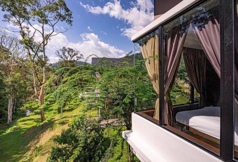 스탠다드 룸, Sementra Hot Spring Nature Resort