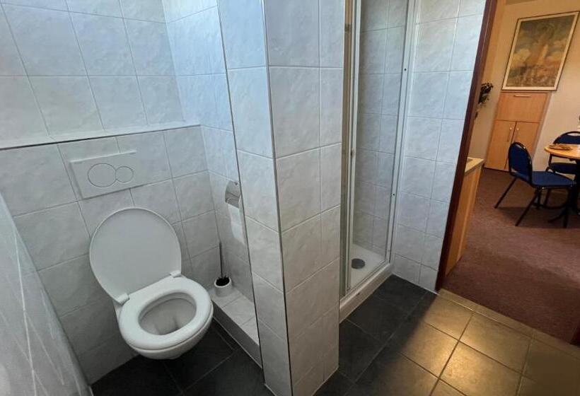 Апартаменты 1 Спальня, Apartmány Chata Samoty