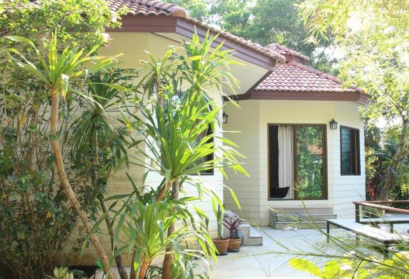Номер Стандарт с Террасой, Navari Homestay