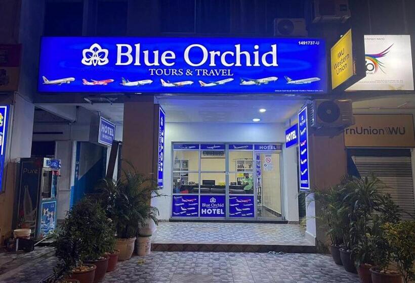 スタンダードルーム, Blue Orchid