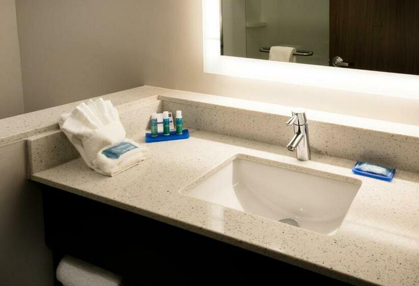 Номер Executive Кровать Кинг, Holiday Inn Express   North Augusta South Carolina, An Ihg