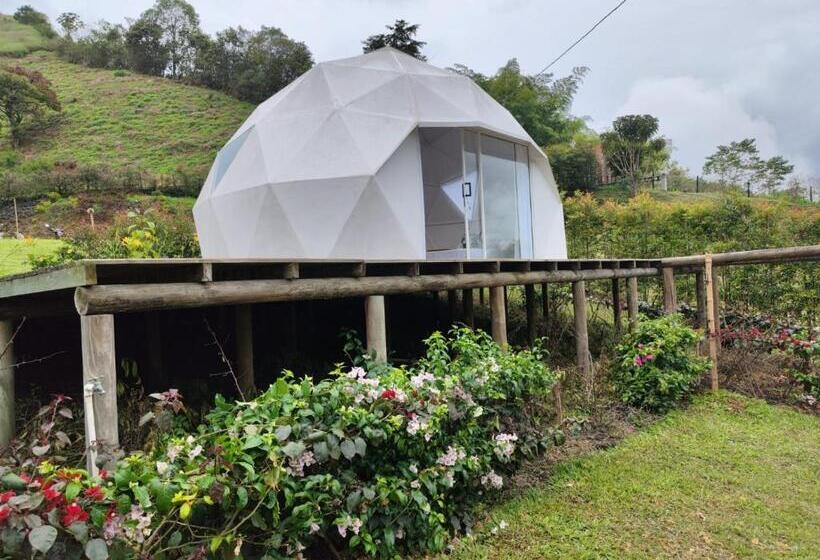Семейный Номер Deluxe, Rainbow Glamping