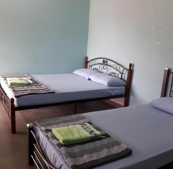 Трежместный Номер Economy, Canopy Inn