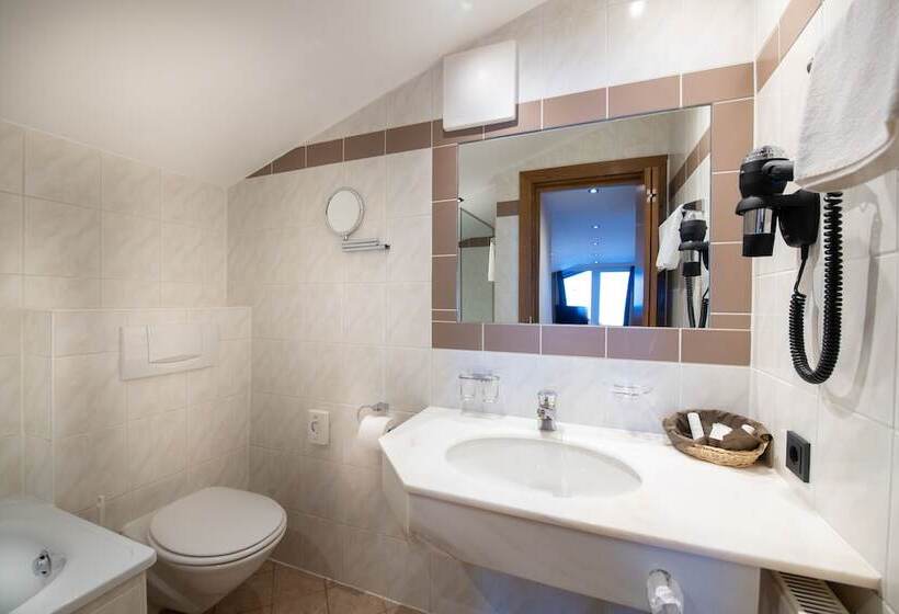 스탠다드 룸, B&b Hotel Die Bergquelle