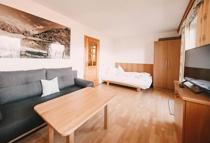 آپارتمان 1 خوابه با چشم‌انداز, Posers Bergwelt B&b