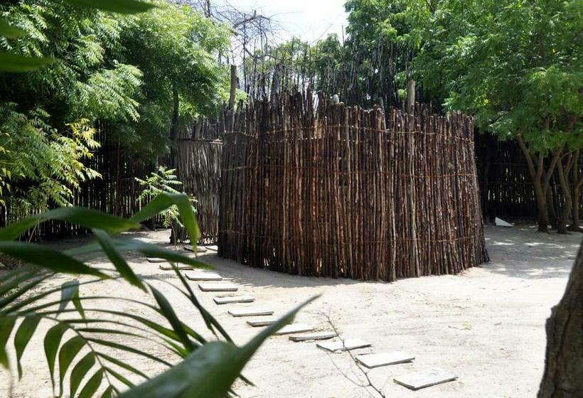 ویلای استاندارد با چشم‌انداز باغ, The Red Pepper House