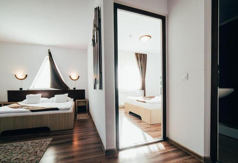 اتاق لوکس خانوادگی, Casa Bradul Voronet