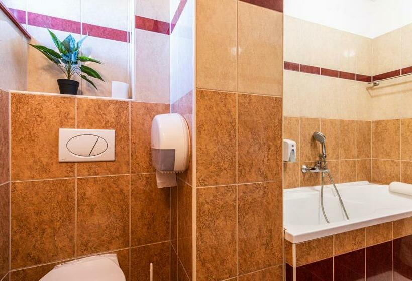Семейный Номер Deluxe, Borhotel Sziluett Farkasmály