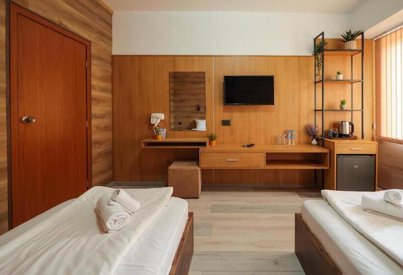 Номер Deluxe Одноместный, Family Hotel Gotse Delchev