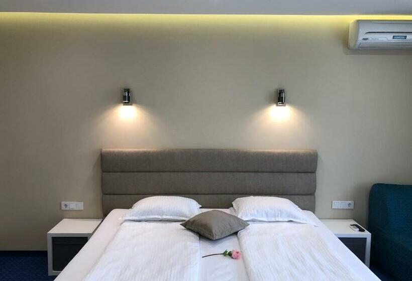 اتاق استاندارد, Family Hotel Avenue