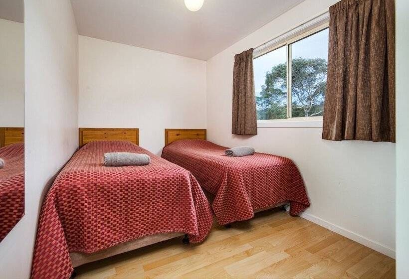 Номер Стандарт, Wintersun Gardens Motel