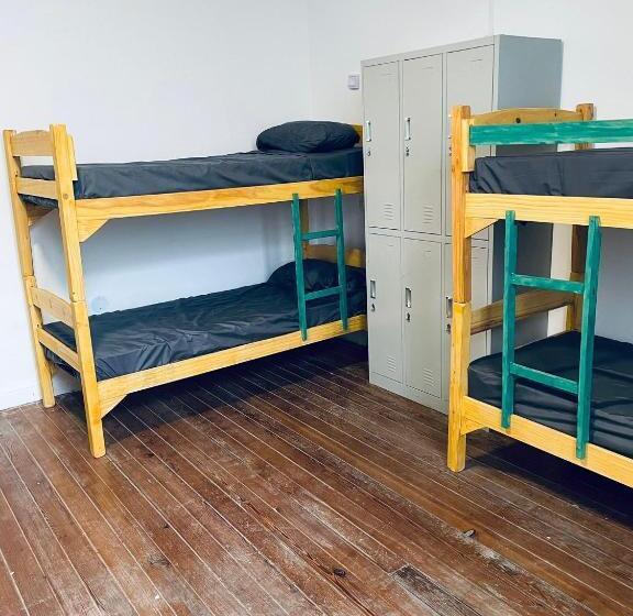 共用房间的床, Palta Hostel