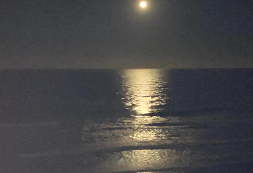 스위트, Ponce Inlet Florida Breathtaking Oceanfront Penthouse Villa!