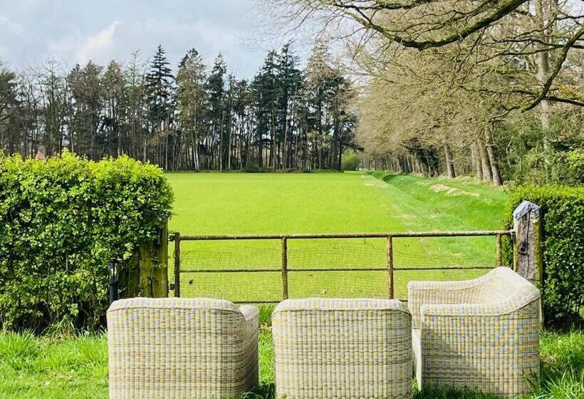 4인용 스탠다드 룸, B&b Hoeve Fraai Achterhoek