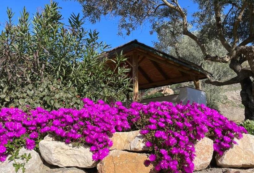 Номер Стандарт, Finca Valle Verde