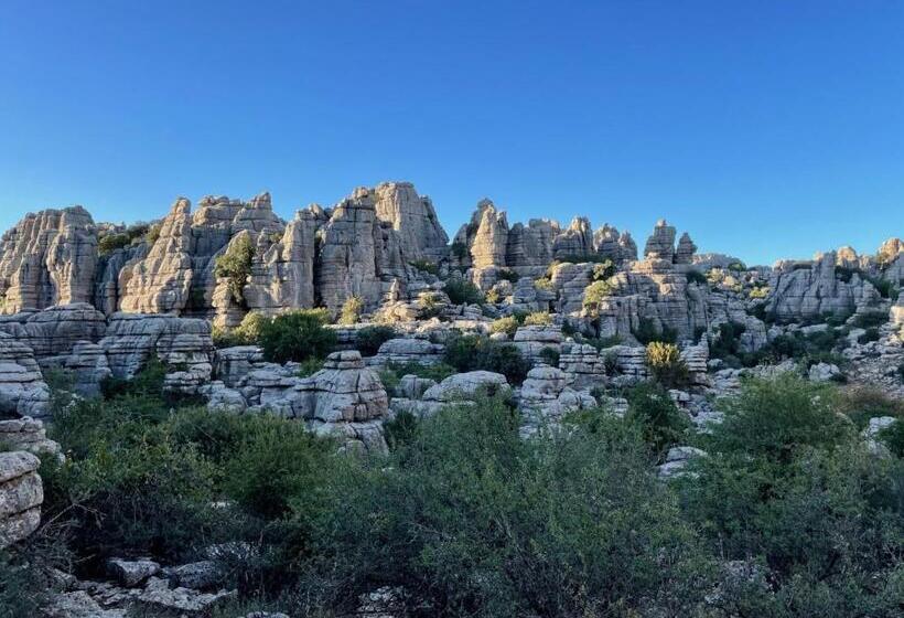 Номер Стандарт, Finca Valle Verde