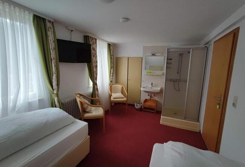 Номер Стандарт, Room In Guest Room   Pension Forelle   Double Room