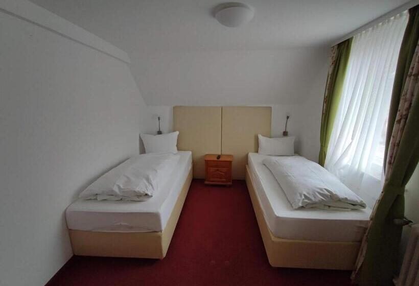 Номер Стандарт, Room In Guest Room   Pension Forelle   Double Room